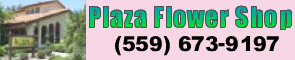 Plaza Flowers 295x60