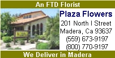 Plaza Flowers Plaza Flowers