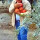 Cameras Help Detectives Catch Pomegranate Crop Crook 